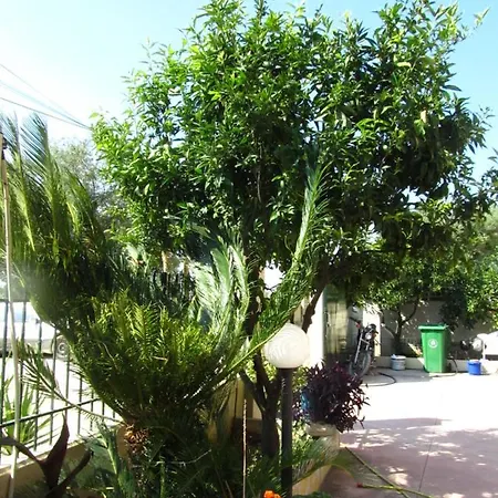 Gasthof Nuredinaj Vlorë