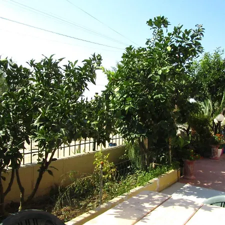 Nuredinaj * Vlorë