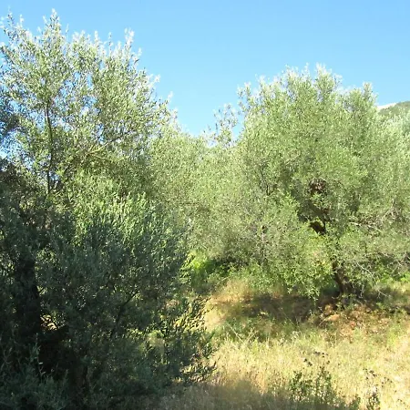 Nuredinaj * Vlorë