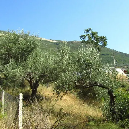 Nuredinaj Gasthof *